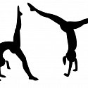 Strathearn's gymnasts in action