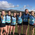 Irish Schools' Cross Country Championships