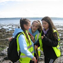 img_0082-3