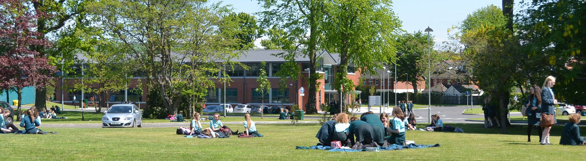 Summer on the Lawn